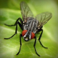 /album/q5txvhomeandgardenlife/photolia-a01-jpg/