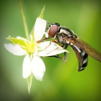 /album/q5txvhomeandgardenlife/photolia-a02-jpg/