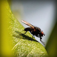 /album/q5txvhomeandgardenlife/photolia-a04-jpg/