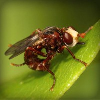 /album/q5txvhomeandgardenlife/photolia-a06-jpg/