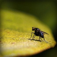 /album/q5txvhomeandgardenlife/photolia-a07-jpg/