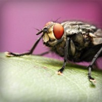 /album/q5txvhomeandgardenlife/photolia-a08-jpg/